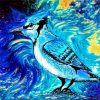 Blue Jay Bird Art Paint By Number