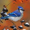 Blue Jay Bird Paint By Number