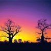 Boab Tree Silhouette Paint By Number