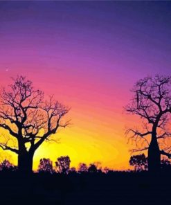 Boab Tree Silhouette Paint By Number