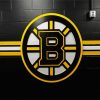 Bruins Ice Hockey Team Logo Paint by Number