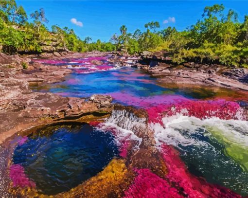 Cano Cristales Colombia paint by number