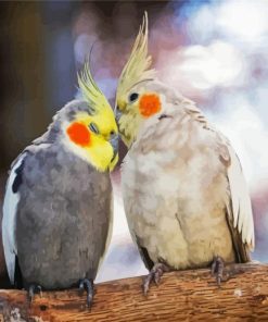 Cockatiel Lovers paint by number