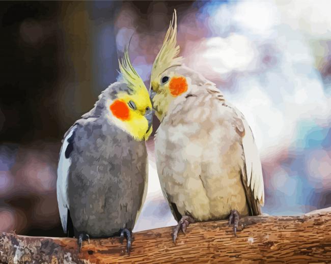 Cockatiel Lovers paint by number