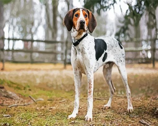 Coonhound Pain paint by number