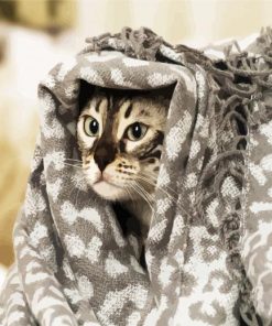 Cute Cat With A Blanket paint by number