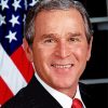 George W Bush President Paint By Number