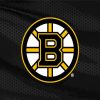 Ice Hockey Bruins Logo Paint by Number
