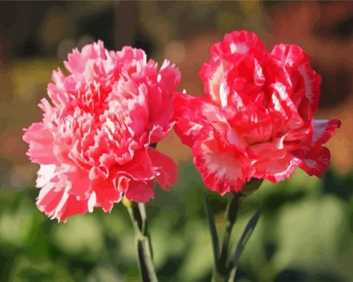 Pink Carnations Paint By Number