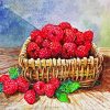 Raspberries Basket Still Life Paint By Number