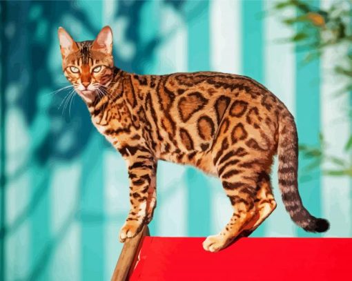 The Bengal Cat Paint By Number
