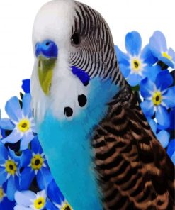 Aesthetic Blue Budgerigar Paint By Number