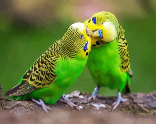 Aesthetic Budgerigars Paint By Number