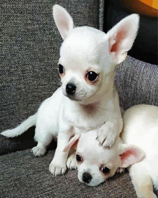 Aesthetic White Chihuahua Puppies paint by number