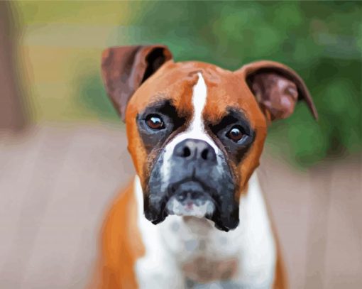 Brown Boxer Paint By Number
