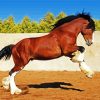 Brown Clydesdale paint by number