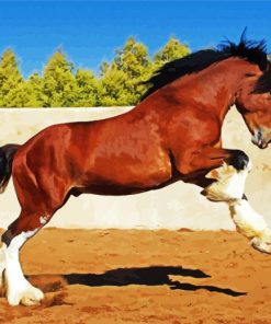 Brown Clydesdale paint by number