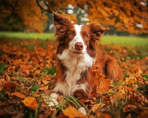 Brown Collie paint by number