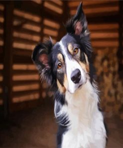 Cute Collie Puppy paint by number