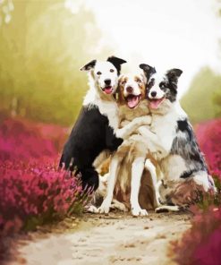 Wet Collies paint by number