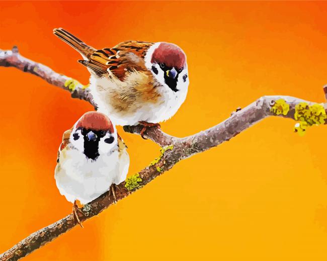 Cute Sparrows Paint By Numbe