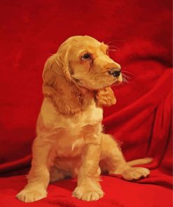 English Cocker Spaniel Puppy paint by number