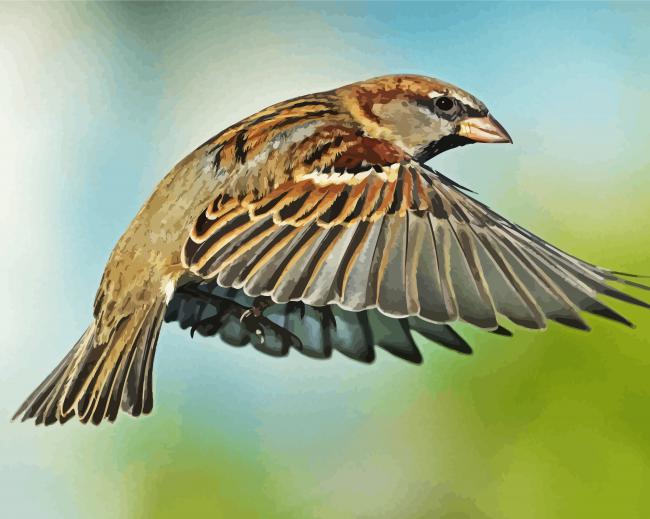 Flying Sparrow Paint By Number