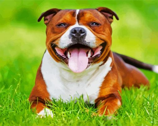Happy Brown Staffordshire Bull Terrier Paint By Number