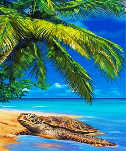 Island Sea Turtle paint by number