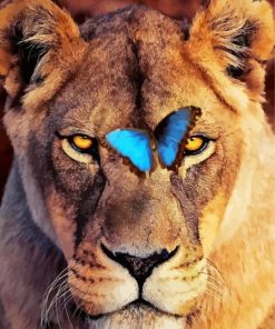 Lion And Butterfly paint by number