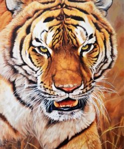Mad Tiger paint by number
