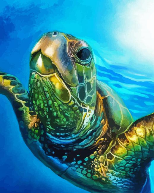 Sea Turtle In The Water paint by number