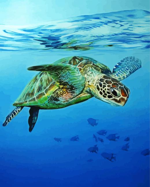 Sea Turtle Swimming paint by number