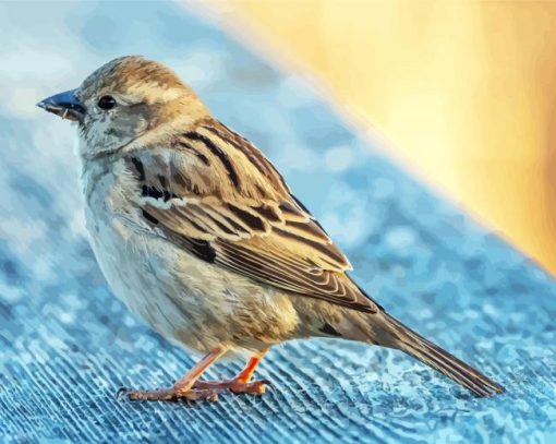Sparrow Bird Animal Paint By Number