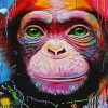 Splatter Monkey Paint By Number