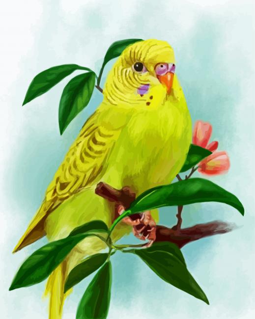 Yellow Budgerigar Paint By Number