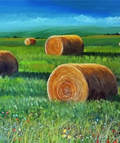 Hay Bales In Farmland Paint By Number