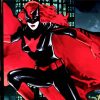Batwoman Paint By Number