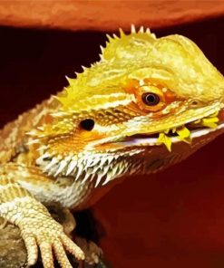 Bearded Dragon Lizard Eating Paint By Number