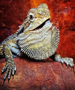 Bearded Dragon Lizard Reptiles Paint By Number