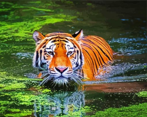 Bengal Tiger Swimming Paint By Number