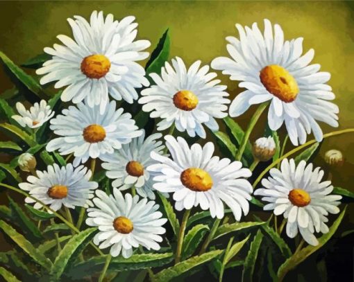 Blooming Chamomile Paint By Number