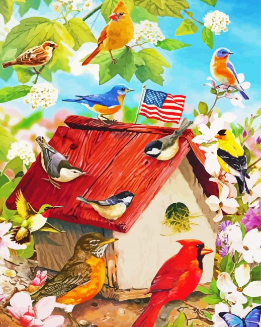 Blossom Housebirds Paint By Number