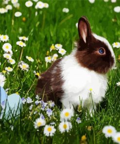 Bunny In Chamomile Field Paint By Number