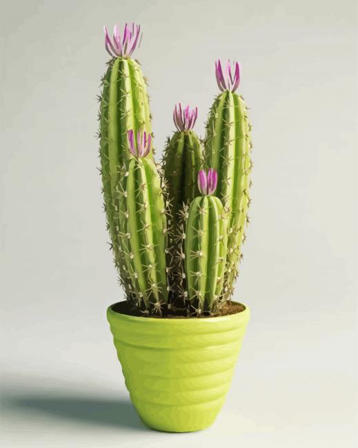 Aesthetic Cactus Pot Paint By Number