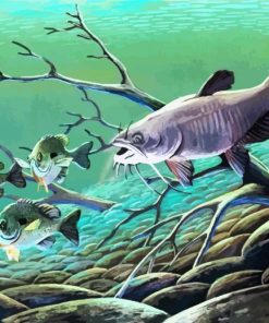 Carp Catfish Underwater Paint By Number
