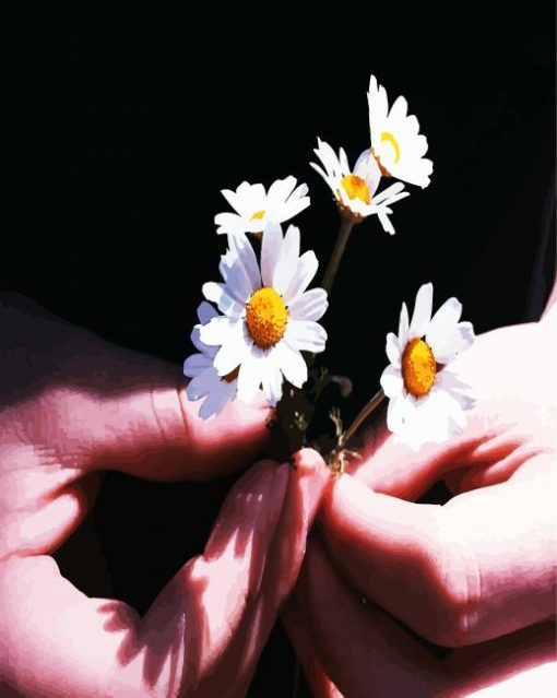 Chamomile Flowers In Hand Paint By Number