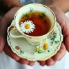 Chamomile Tea In Cup Paint By Number