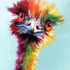 Colorful Emu Paint By Number