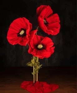 Coquelicot Poppies Flowers Paint By Number
